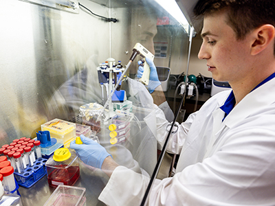 Student working in lab